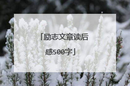 励志文章读后感500字