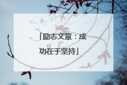 励志文章：成功在于坚持
