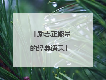 励志正能量的经典语录