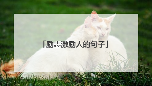 励志激励人的句子