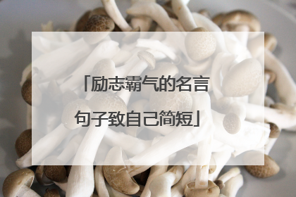 励志霸气的名言句子致自己简短