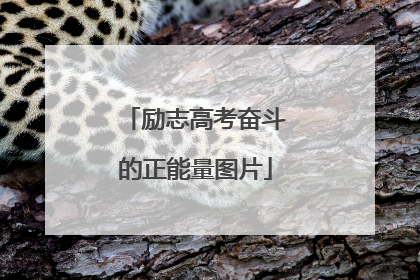 励志高考奋斗的正能量图片
