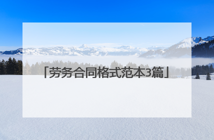 劳务合同格式范本3篇