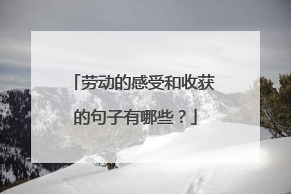 劳动的感受和收获的句子有哪些?