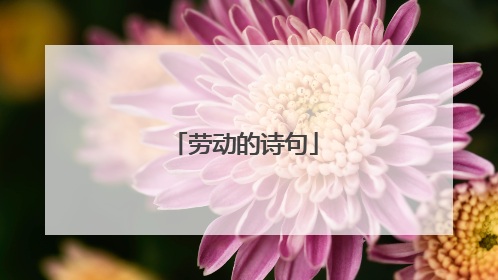 劳动的诗句