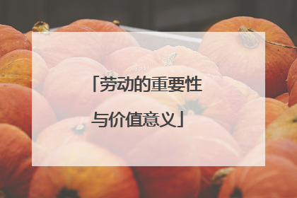 劳动的重要性与价值意义