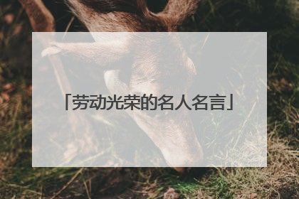 劳动光荣的名人名言