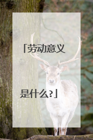 劳动意义是什么?