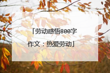 劳动感悟800字作文：热爱劳动
