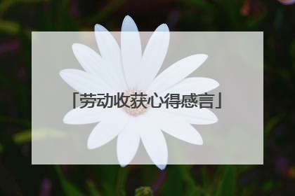 劳动收获心得感言