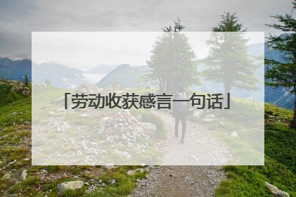 劳动收获感言一句话
