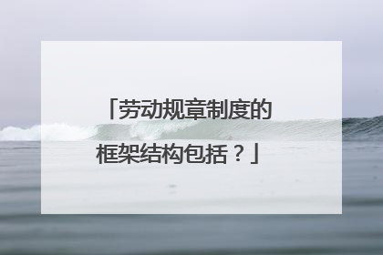 劳动规章制度的框架结构包括？