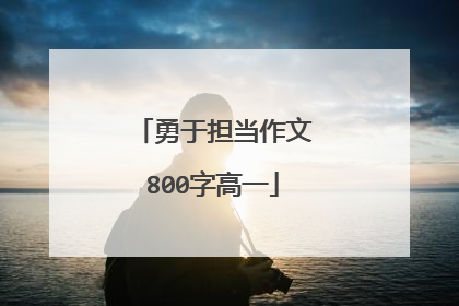 勇于担当作文800字高一