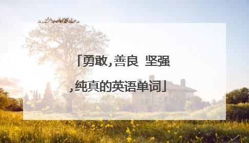 勇敢,善良 坚强,纯真的英语单词