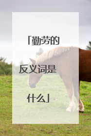 勤劳的反义词是什么