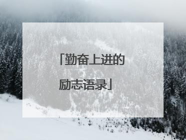 勤奋上进的励志语录