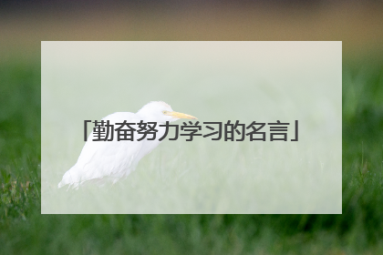勤奋努力学习的名言