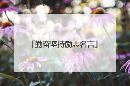 勤奋坚持励志名言