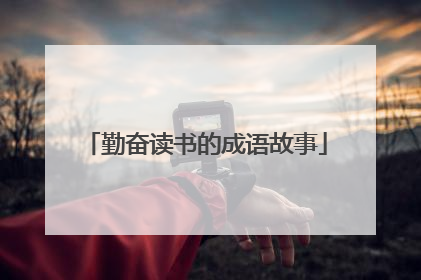 勤奋读书的成语故事