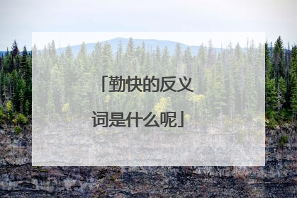 勤快的反义词是什么呢