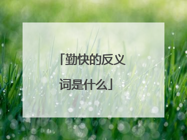勤快的反义词是什么