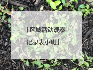 区域活动观察记录表小班