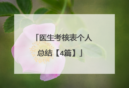 医生考核表个人总结【4篇】
