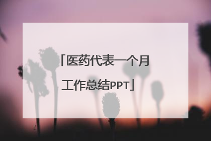 医药代表一个月工作总结PPT