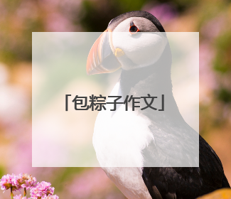 包粽子作文