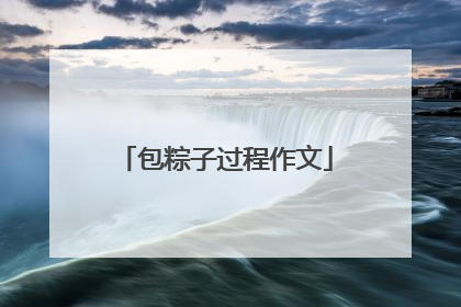 包粽子过程作文