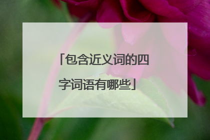 包含近义词的四字词语有哪些