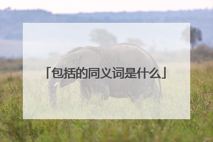 包括的同义词是什么