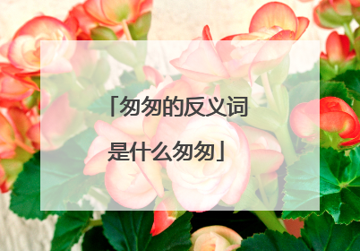 匆匆的反义词是什么匆匆