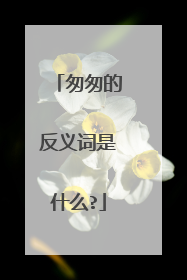 匆匆的反义词是什么?
