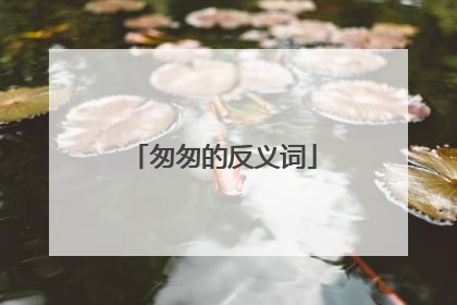 匆匆的反义词