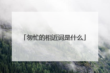 匆忙的相近词是什么