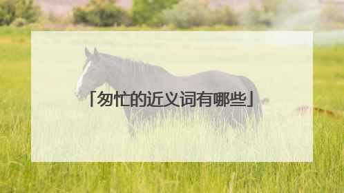 匆忙的近义词有哪些
