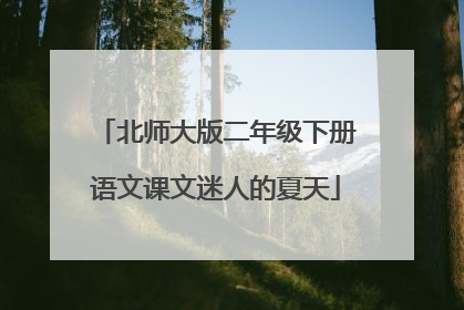 北师大版二年级下册语文课文迷人的夏天