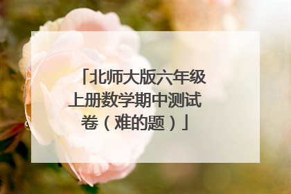 北师大版六年级上册数学期中测试卷(难的题)