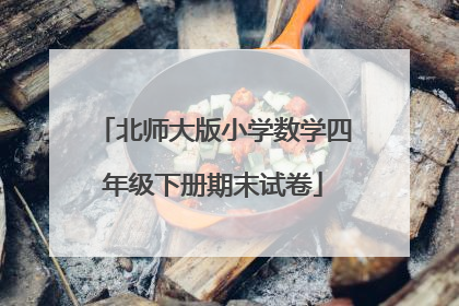 北师大版小学数学四年级下册期末试卷