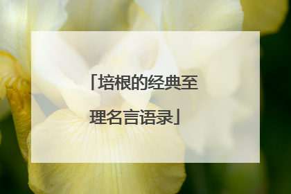 培根的经典至理名言语录