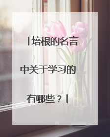 培根的名言中关于学习的有哪些?