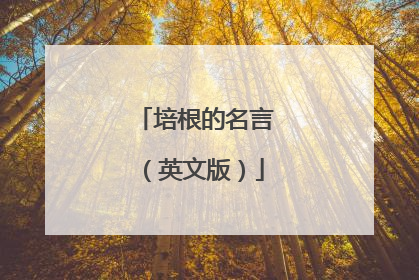 培根的名言（英文版）