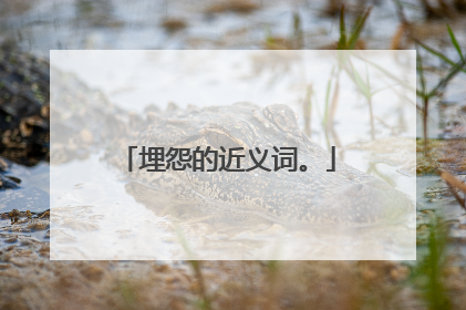 埋怨的近义词。