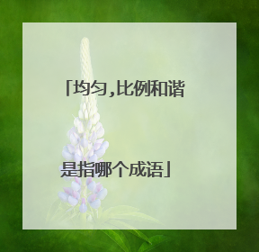 均匀,比例和谐是指哪个成语