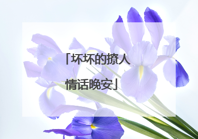坏坏的撩人情话晚安