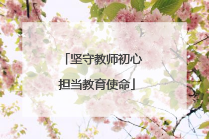 坚守教师初心担当教育使命