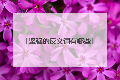 坚强的反义词有哪些