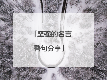 坚强的名言警句分享