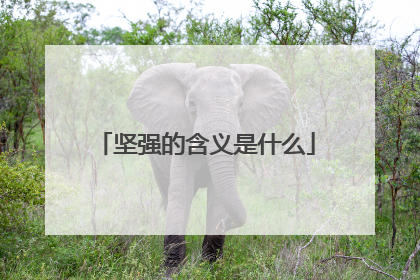 坚强的含义是什么